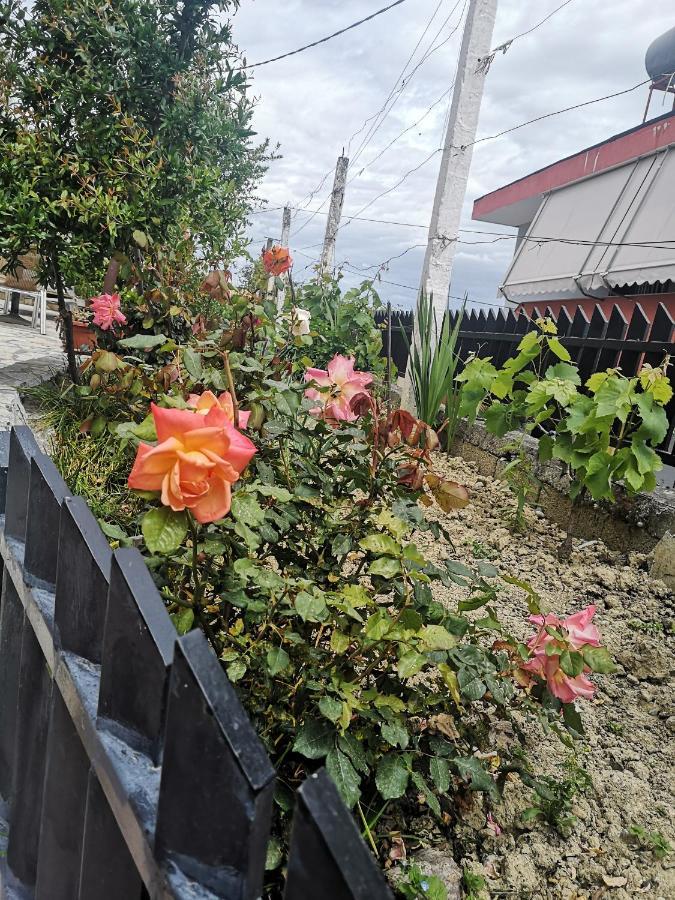 Private House Durres Βίλα Δωμάτιο φωτογραφία