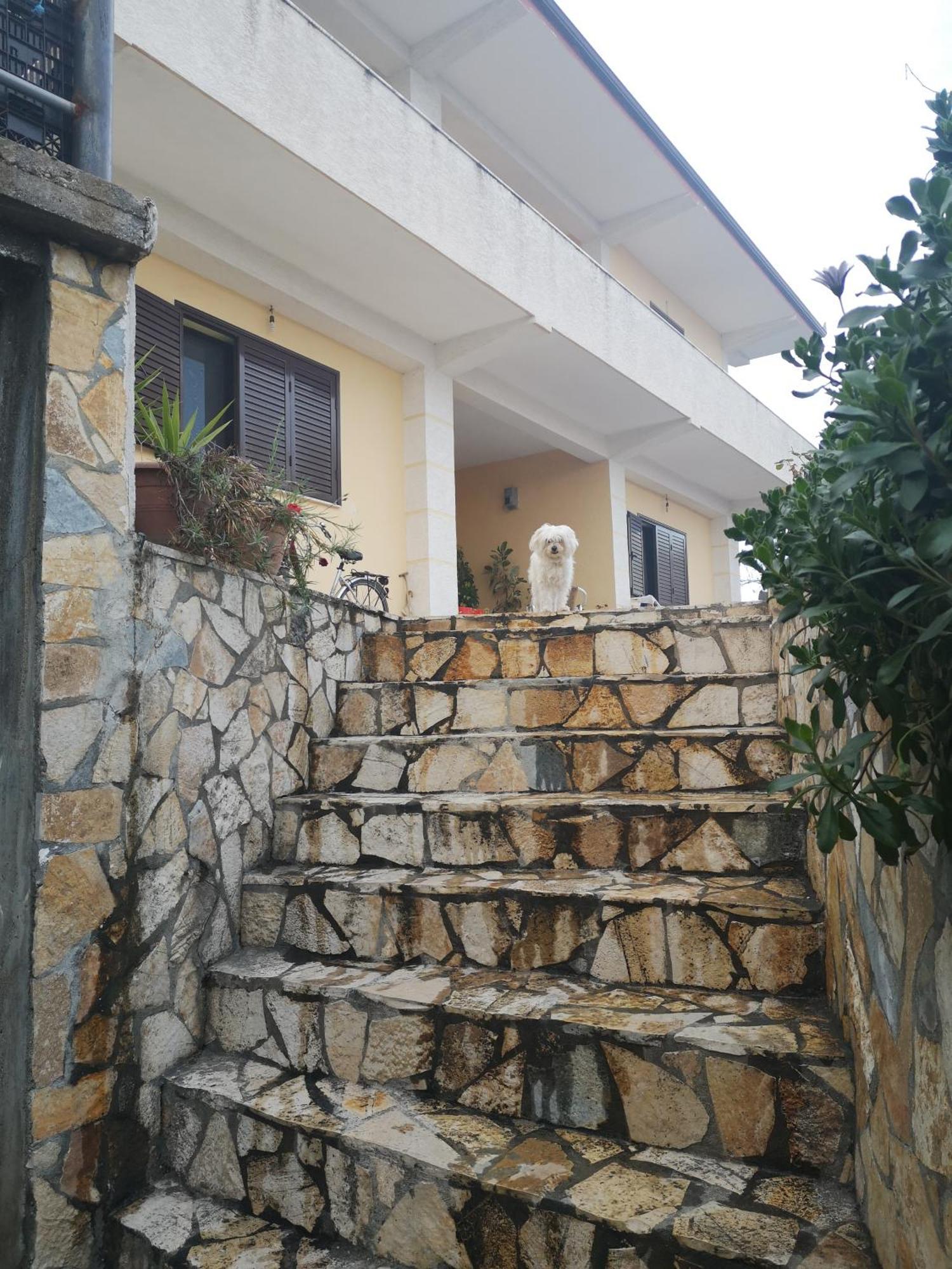 Private House Durres Βίλα Δωμάτιο φωτογραφία